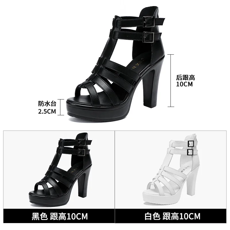 Gladiator Buty Damskie dla San – Gladiator Sandal Women recenzja i cena